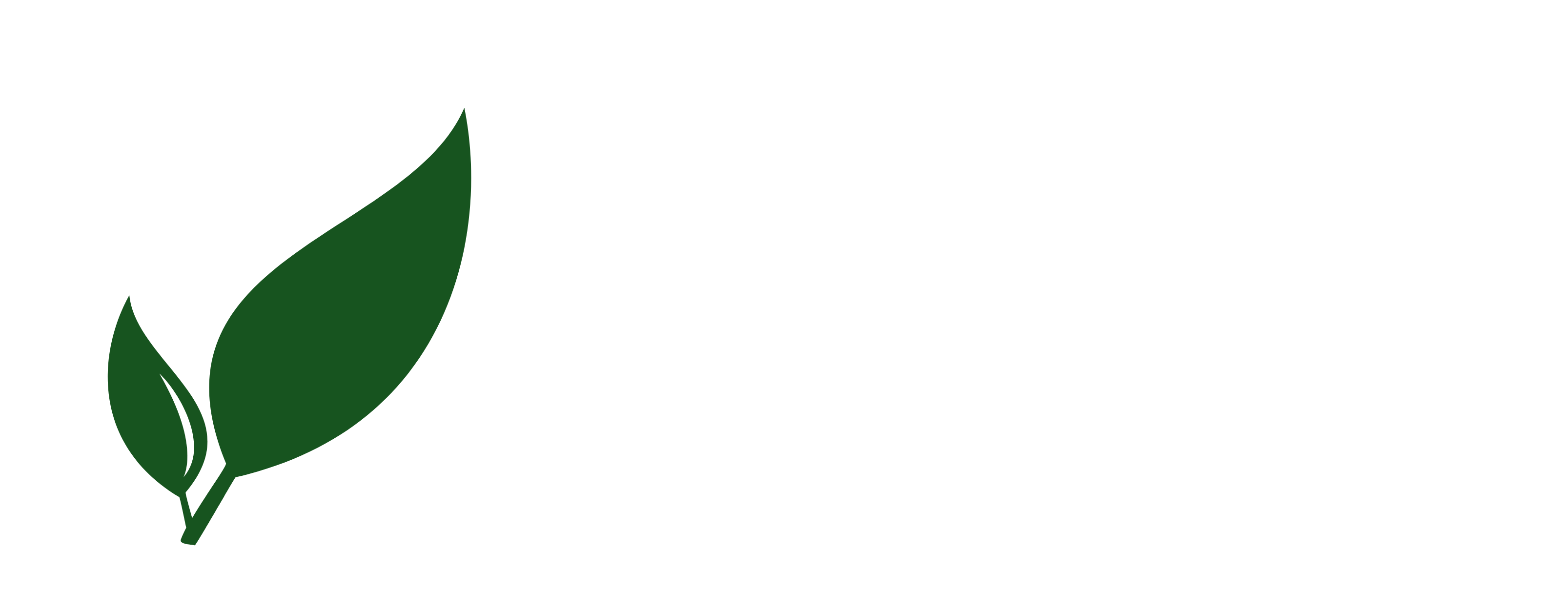 /paradizelost/paperless-ngx/raw/commit/b7f0fead7ac1af1d4aaf373bbf2bee167125cc46/resources/logo/web/png/White%20logo%20-%20no%20background.png